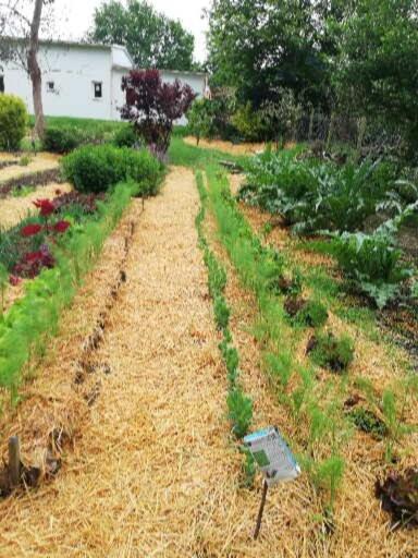 Au Coeur Du Jardin La Boussac Exterior foto